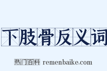 下肢骨反义词是什么意思的图片